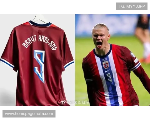 哈兰德全名是什么 揭秘足球天才的真实身份与成长历程